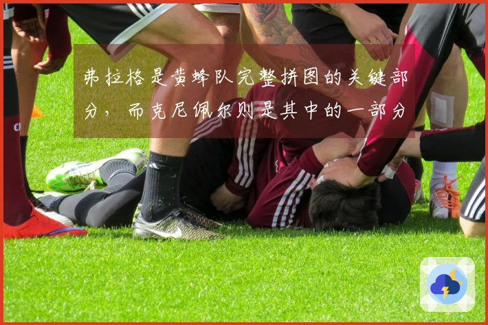 弗拉格是黄蜂队完整拼图的关键部分，而克尼佩尔则是其中的一部分