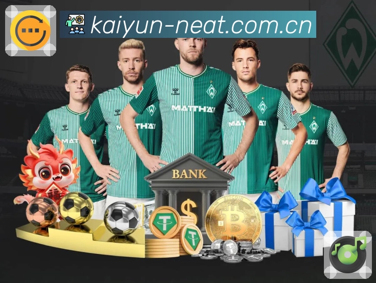 <strong>开云</strong>App 功能一览预览